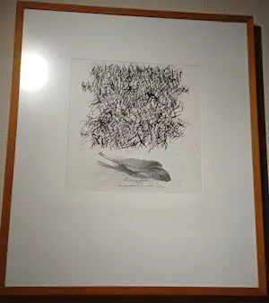 Dominique Ampe - Brief geschreven in mijn erotische tuin kopen? Bied vanaf 150!