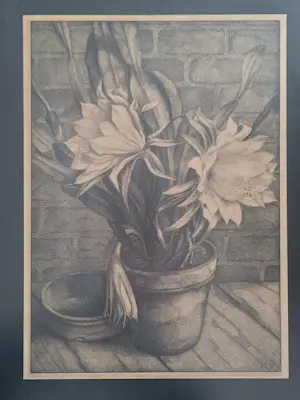 Aart van Dobbenburgh - Plant in bloempot. kopen? Bied vanaf 75!