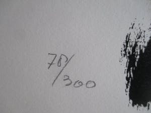 Henk van Vessem - Grote ingelijste litho kopen? Bied vanaf 60!