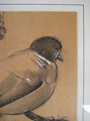 Chris Le Roy - houtduif in houtskool en pastel , handgesigneerd kopen? Bied vanaf 1!