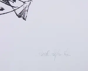 Arthur Spronken - Ets, Paard kopen? Bied vanaf 100!