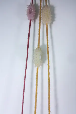 Jürgen Reichert - Set van drie siliconen lampen, 'Lichtwesen' kopen? Bied vanaf 350!