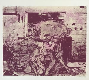 Wilfried Pas - Grote gesigneerde zeefdruk - 10/10 - Kleine oplage! - 1972 - Zelden aangeboden! kopen? Bied vanaf 65!