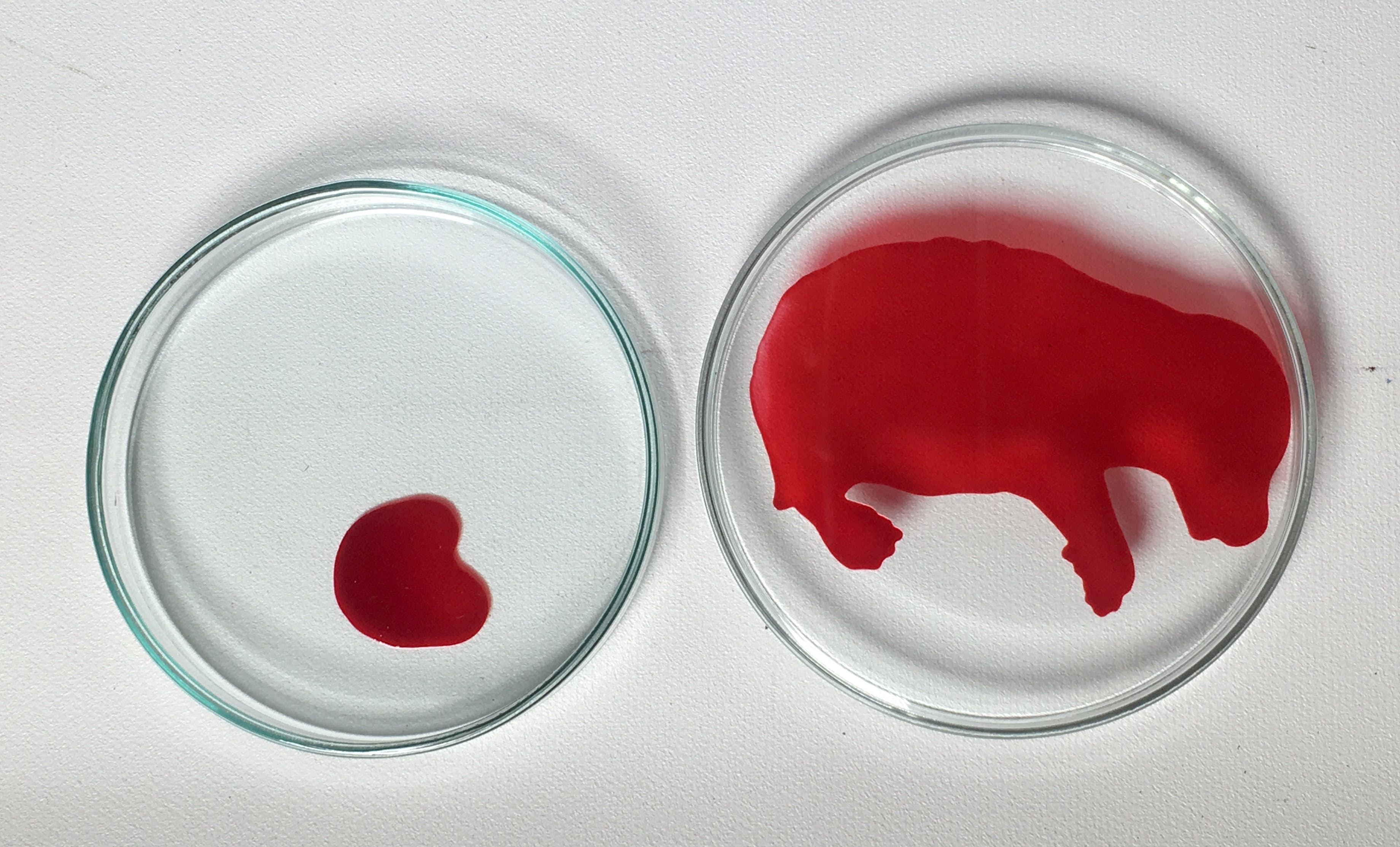 Lisette Verkerk - Beschilderd petrischaaltje, Origins kopen? Bied vanaf 1!