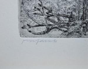 Charles Donker - 4e staat, proefdruk: Struiken en stammen in sneeuwlandschap kopen? Bied vanaf 395!