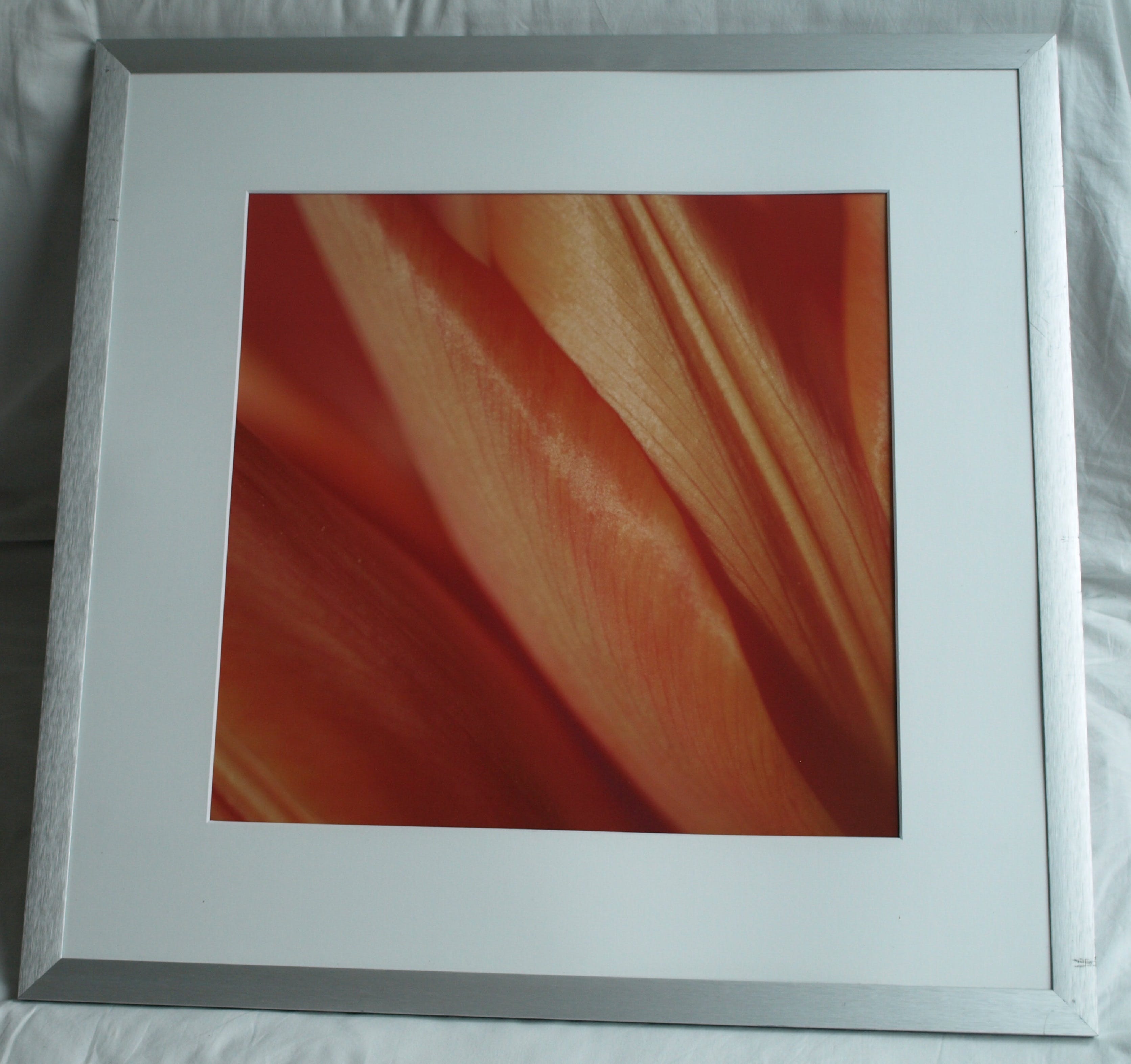 Niet of onleesbaar gesigneerd - Foto , Close-up – ingelijst  kopen? Bied vanaf 1!