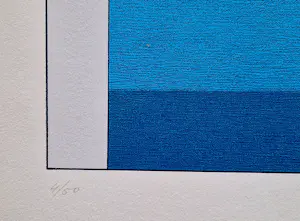 Marinus Fuit - Grote, in 2000 in kleine oplage (50) gemaakte kleuren zeefdruk "tram op brug" kopen? Bied vanaf 65!