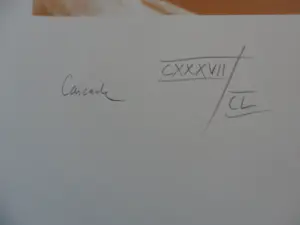 Rob Scholte - Zeefdruk, Cascade (groot) kopen? Bied vanaf 120!