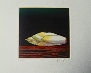 Joop Vegter - Mooie kleine mezzotint "witlof" - beperkte oplage - potloodgesigneerd kopen? Bied vanaf 75!