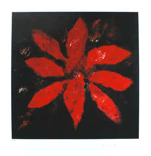 Armando - Blume rot - 2017 - Giclèe op handgeschept papier - handgesigneerd - oplage 30 verkocht voor € 139!