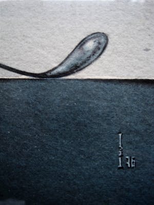 Niet of onleesbaar gesigneerd - Galerie Hofstee Frankfurt - Magisch Realisme handgekleurde Ets - gesigneerd kopen? Bied vanaf 10!