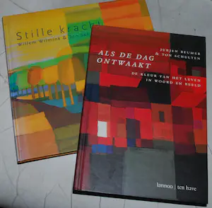 Ton Schulten - 2 boeken, uit 2000 en 2011 - 1x handgesigneerd kopen? Bied vanaf 25!