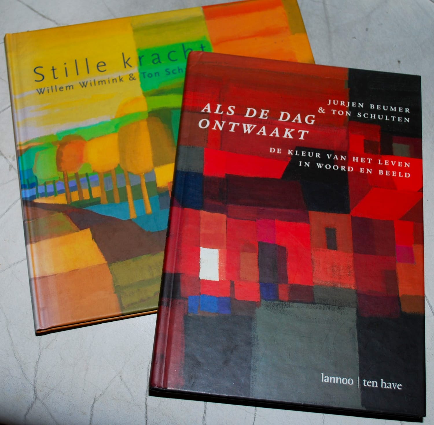 Ton Schulten - 2 boeken, uit 2000 en 2011 - 1x handgesigneerd kopen? Bied vanaf 25!