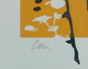 Coen Blankwaard - Evita kopen? Bied vanaf 20!