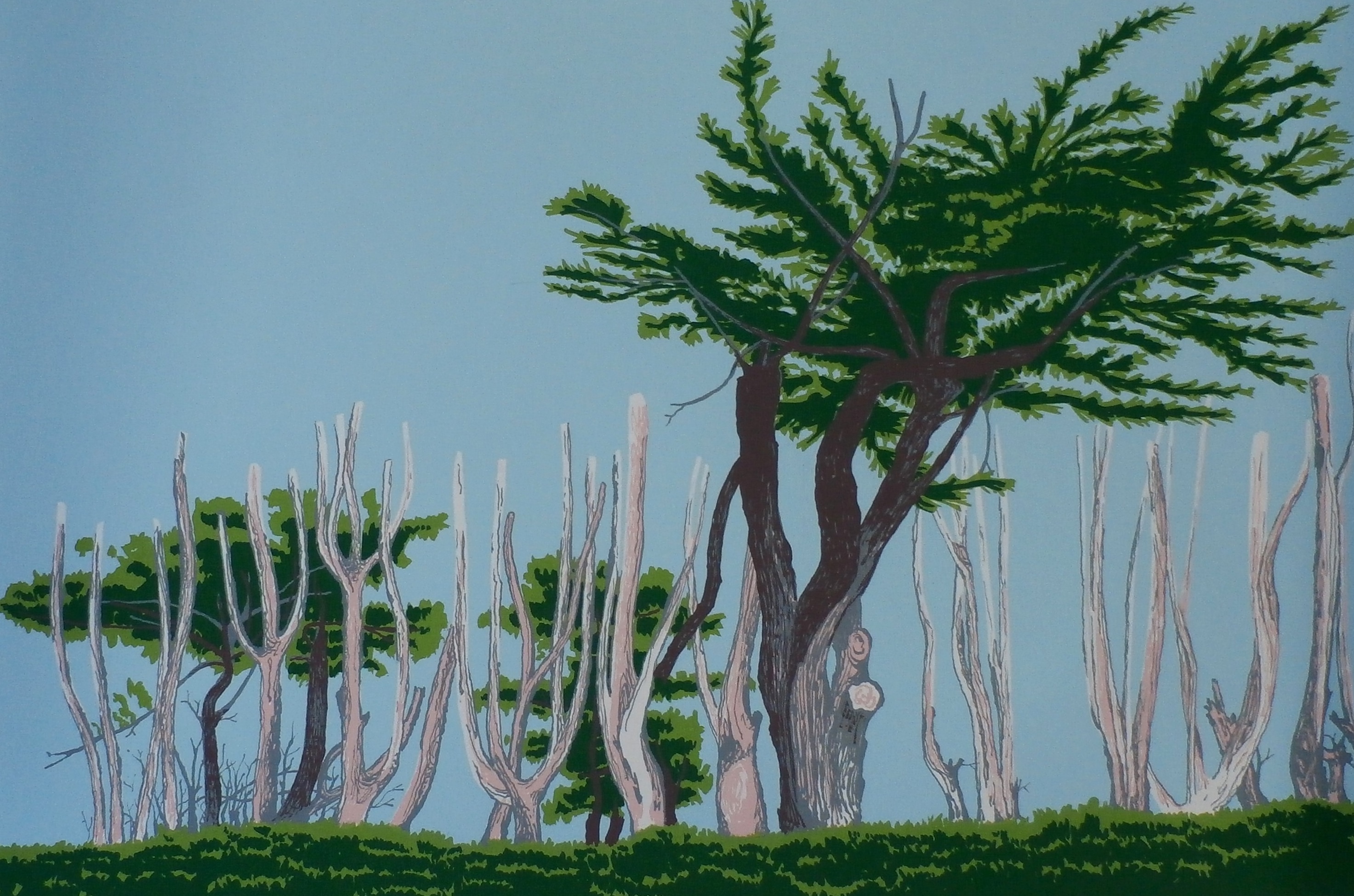 Sees Vlag - Zeefdruk: Bomen l'ile - Grande - 1971 kopen? Bied vanaf 60!