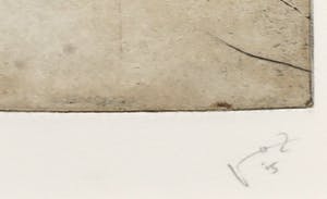 Javier Roz - Ets/aquatint en fotocollage, Pligues I - Ingelijst kopen? Bied vanaf 60!