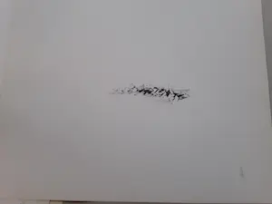 Melle Oldeboerrigter - Ter gelegenheid van Melle,s 60e verjaardag kopen? Bied vanaf 45!