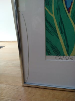 Paul Elshout - 'Dank je wel' - zeefdruk, in alu lijst kopen? Bied vanaf 39!