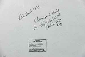 Pim Westerweel - Kate Bush met Shannon River 1979 kopen? Bied vanaf 125!