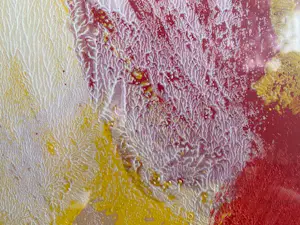 Jan Cremer - Tulips one red one blue 1993 kopen? Bied vanaf 2400!