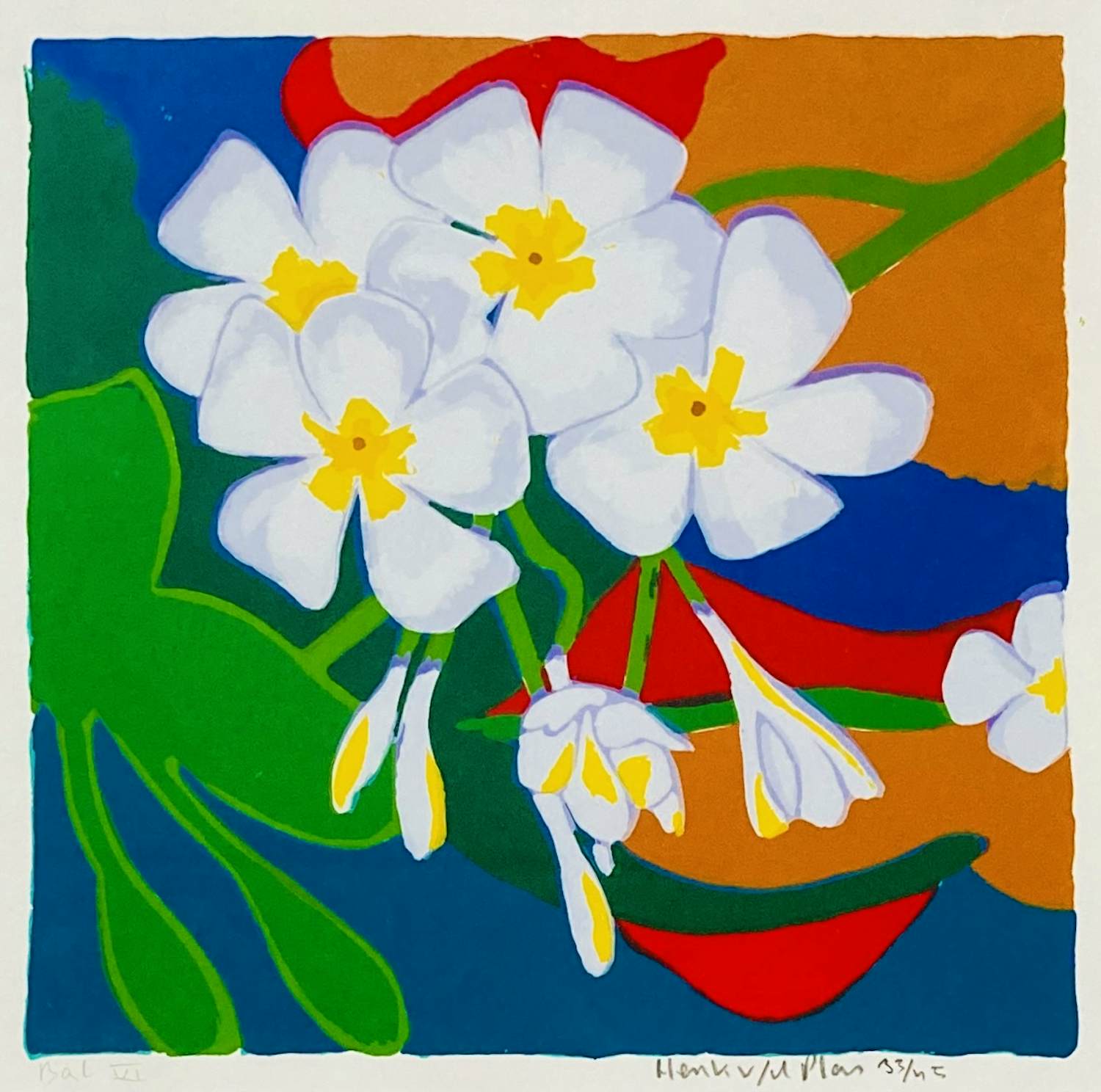 Henk van der Plas - Bali VI kopen? Bied vanaf 55!