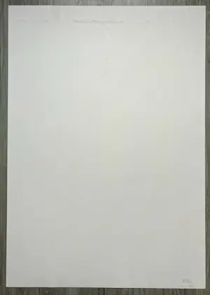 Bettina Lopetro - Brids kopen? Bied vanaf 25!