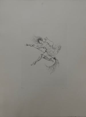 Leonor Fini - La Sorcière sur le Balai kopen? Bied vanaf 25!