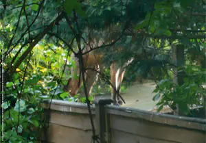 Robert Barry - 10 items uit de serie point d'ironie kopen? Bied vanaf 1!