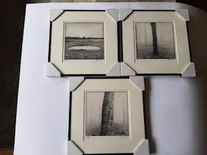 Ralph Janowski - 3 werken, van Ralph Janowski, Boom in de ochtend mist nieuw ingelijst kopen? Bied vanaf 100!