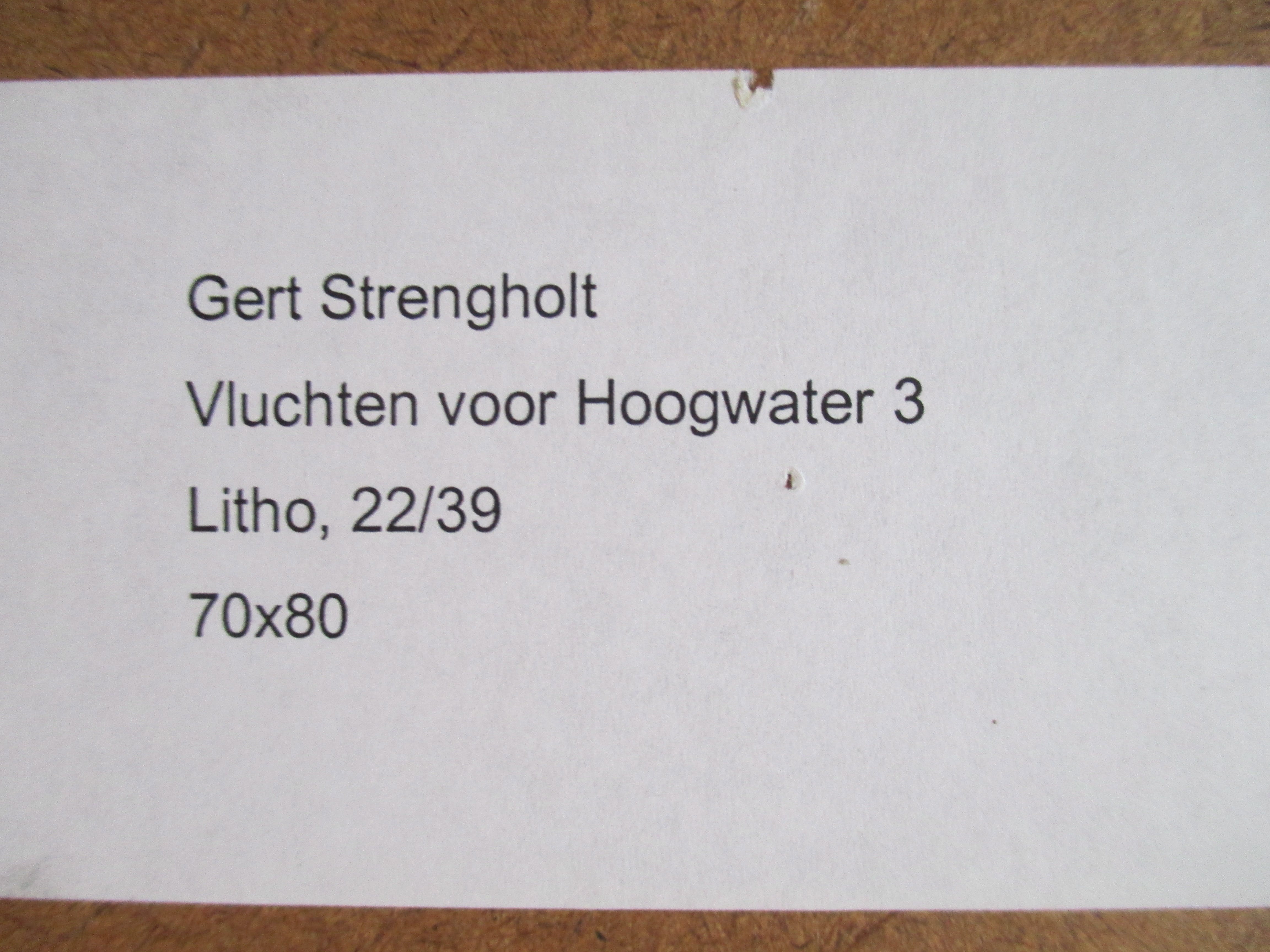 Gert Strengholt - Ingelijste litho 'Vluchten voor hoogwater 3' kopen? Bied vanaf 55!