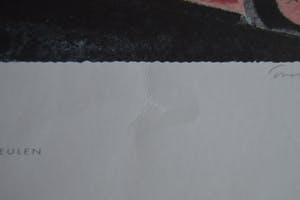 Ever Meulen - 'Ever Meulen' kopen? Bied vanaf 40!