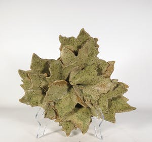 Carla van Ouwenaller - Aardewerk, Volmaakte zomer kopen? Bied vanaf 35!