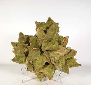 Carla van Ouwenaller - Aardewerk, Volmaakte zomer verkocht voor € 35!