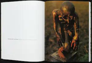 Reinhoud D'Haese - Lot van twee publicaties waaronder 1 gesigneerd kopen? Bied vanaf 1!