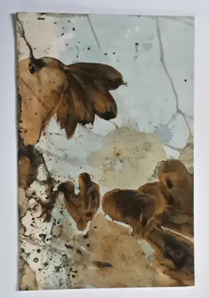 Virgil Grotfeldt - Geological study kopen? Bied vanaf 10!