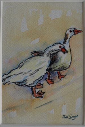 Piet Snel - 2x Aquarel , Ganzen kopen? Bied vanaf 35!