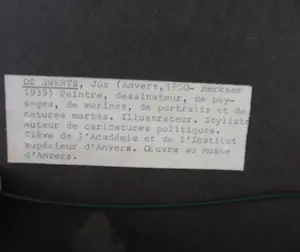 Joz De Swerts - marktdag kopen? Bied vanaf 100!