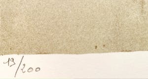 Bernard Charoy - Female Nude kopen? Bied vanaf 35!