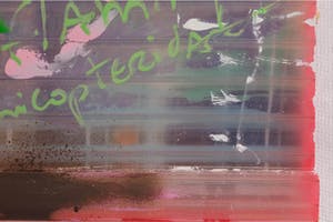 Fred Michiels - Zoo animals have been known to die from stares (3 flamingo's) kopen? Bied vanaf 150!