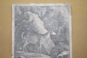 Johann Elias Ridinger - JAGD. - Hirsch kopen? Bied vanaf 5!