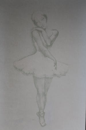 John Raedecker - Ballerina kopen? Bied vanaf 20!