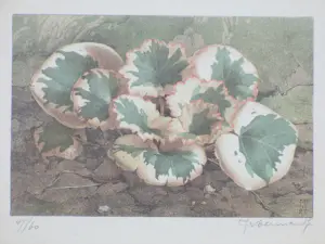 Jan Voerman (jr.) - Bosanemoontjes - Kleurenlitho kopen? Bied vanaf 60!