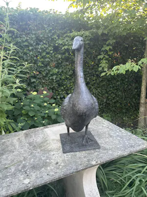 Peter Petersen - Gans kopen? Bied vanaf 2000!