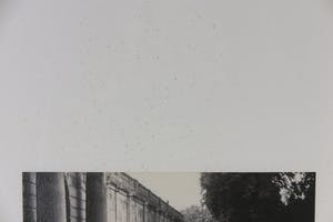 Mark Luyten - Foto, Serre V - Ingelijst (Groot) kopen? Bied vanaf 1!