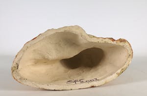 Sjer Jacobs - Aardewerk, Samen oranje kopen? Bied vanaf 1!