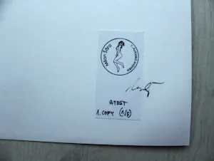 Milan Sara - "Unterwasser AKT" - Auflage 5 - handsigniert - (46,5 x 33,5 cm) kopen? Bied vanaf 150!