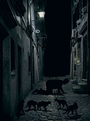 Mr. Strange - Le Nyctalope kopen? Bied vanaf 65!