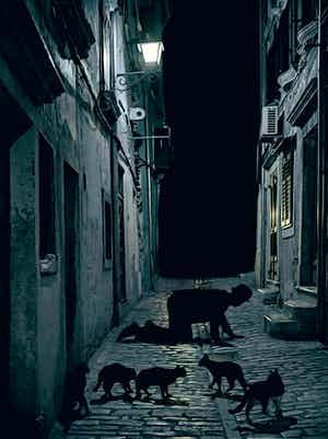 Mr. Strange - Le Nyctalope verkocht voor € 65!