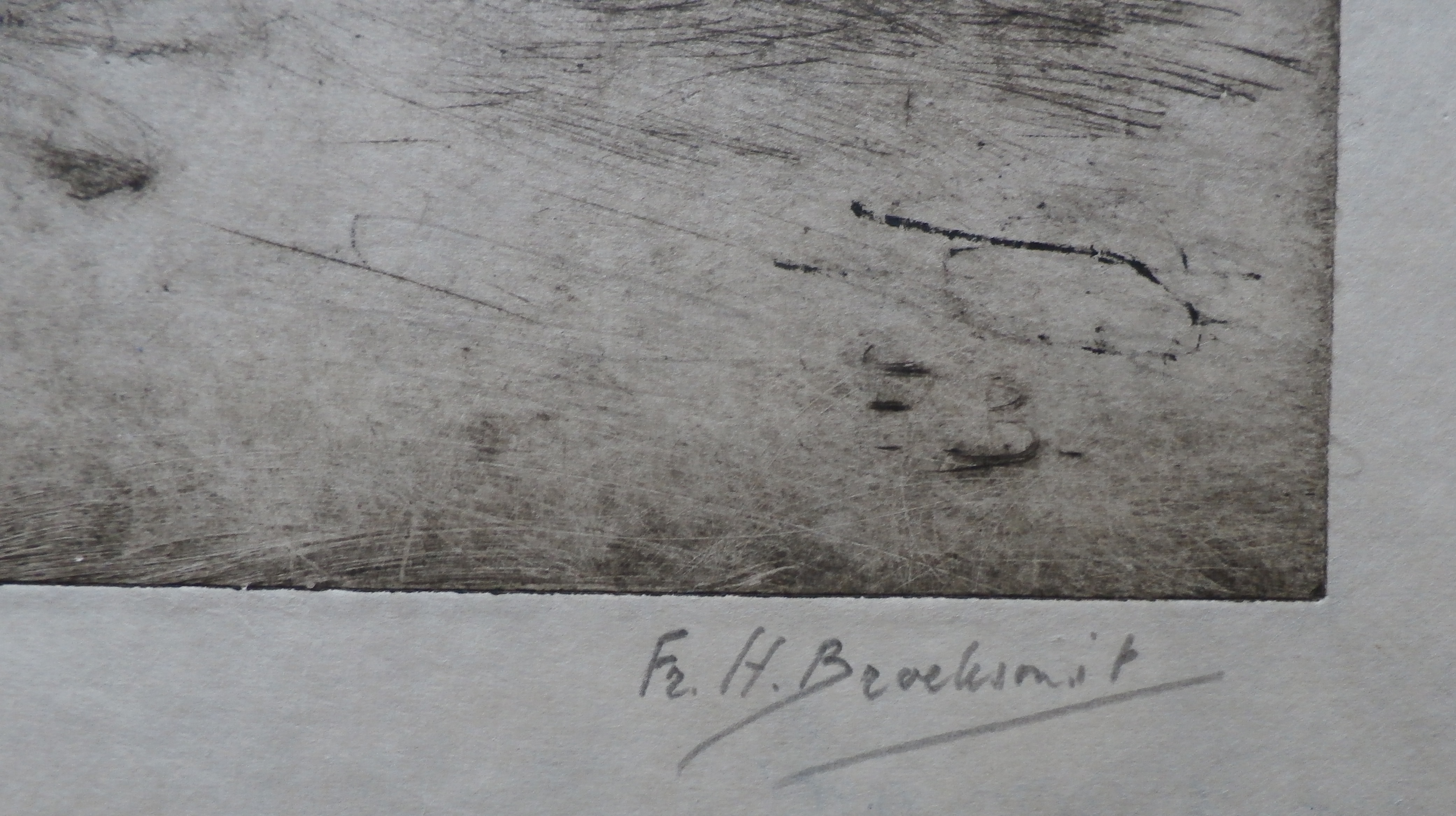 Frederika Broeksmit - ets: dieren kopen? Bied vanaf 45!