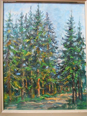 Julien Duriez - Sous bois de sapins dans le Jura kopen? Bied vanaf 30!